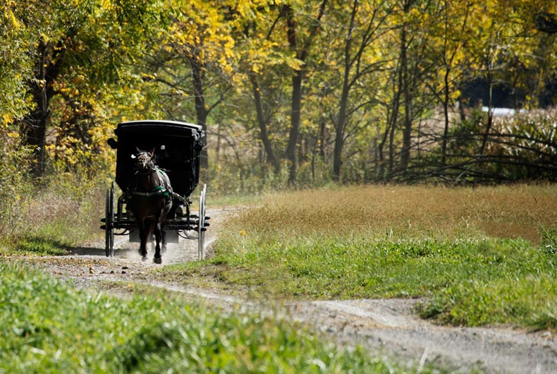 An Amish buggy on a country road in Ross County, representing the distinctive Amish culture