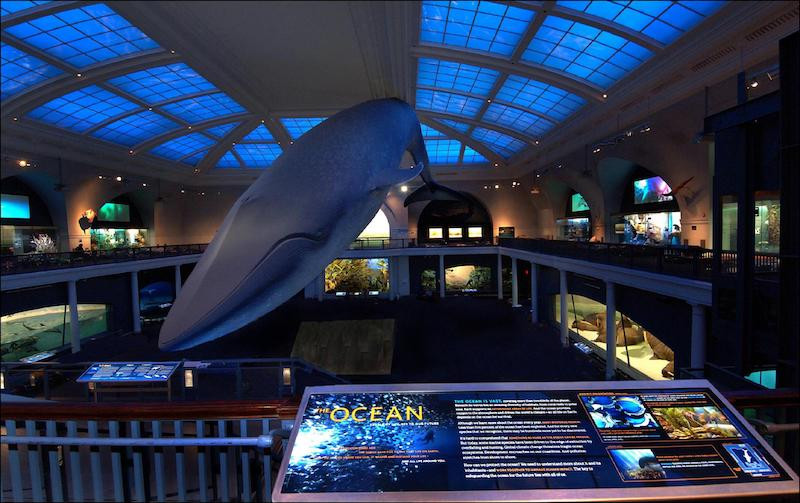 The American Museum of Natural History, showcasing its iconic facade and grand entrance, inviting visitors to explore its vast collection