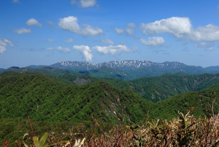 Hiking in Shirakami Sanchi