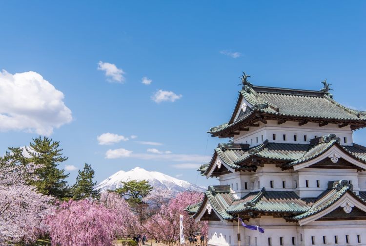 Hirosaki Castle during Cherry Blossom Festival