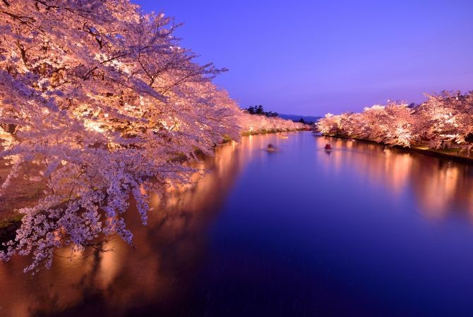Boats cruising near Hirosaki Castle during cherry blossom season in late April