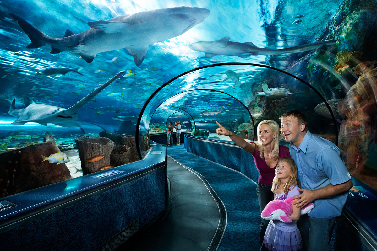 Myrtle Beach Aquarium