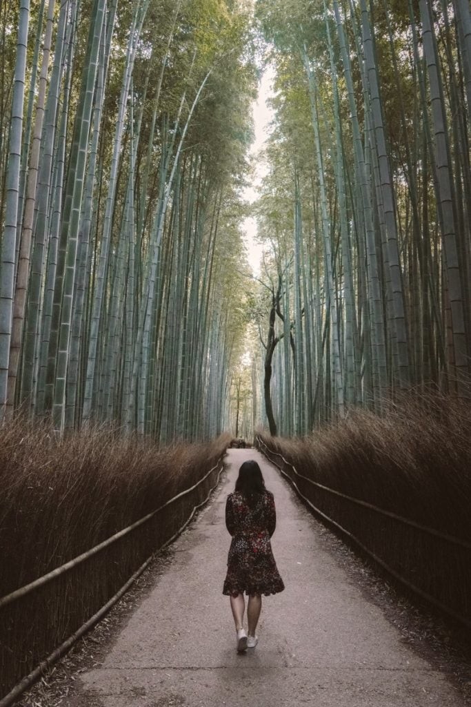 Arashiyama Bamboo Grove