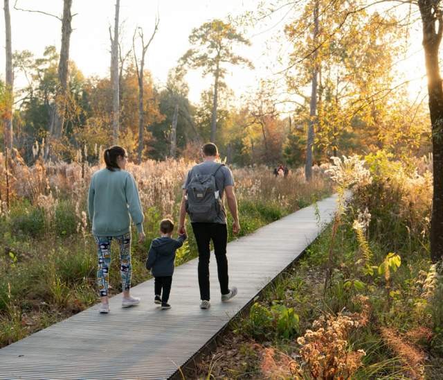 Houston Arboretum Nature Center, Alt Text Houston Arboretum Natural Landscape