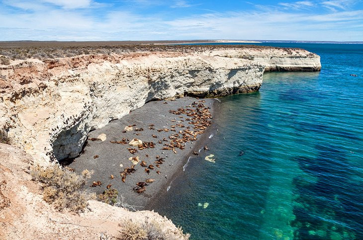 The tranquil waters surrounding Puerto Madryn and the Valdés Peninsula provide a sanctuary for diverse marine life, making it a premier destination for whale watching and wildlife observation.