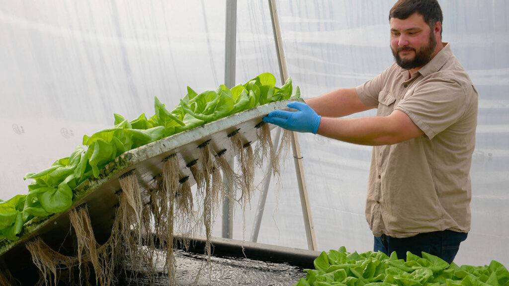 Juneberry Ridge offers educational tours of the farm, perfect for tourists interested in agricultural tourism aquaponics and sustainable farming practices.