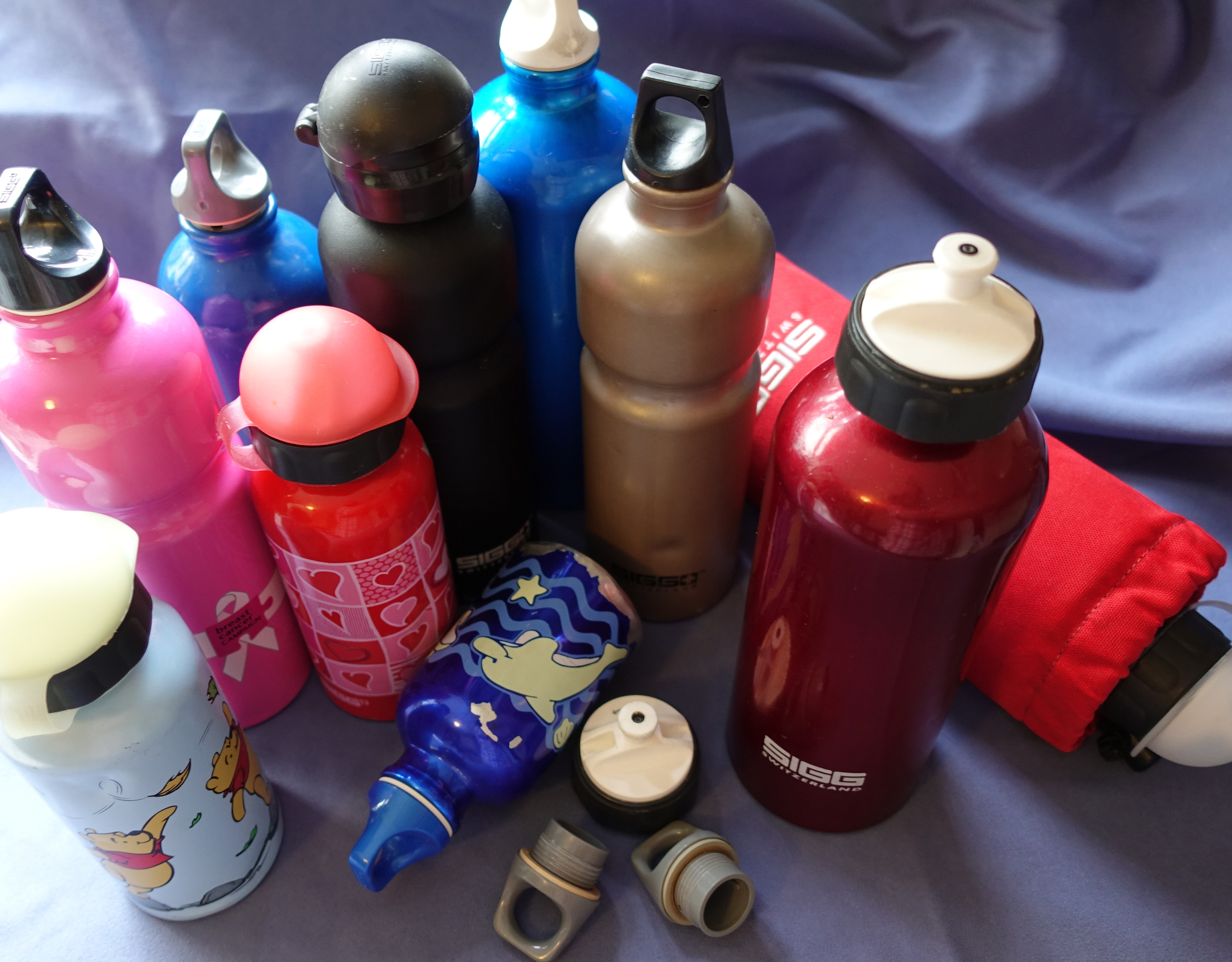 The Three Points of the Compass assortment of SIGG bottles. Various sizes and styles including two children