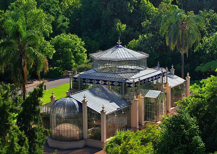 Lush greenery and vibrant flowers in Adelaide Botanic Garden