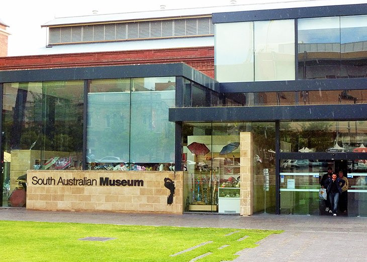 Diverse exhibits at the South Australian Museum