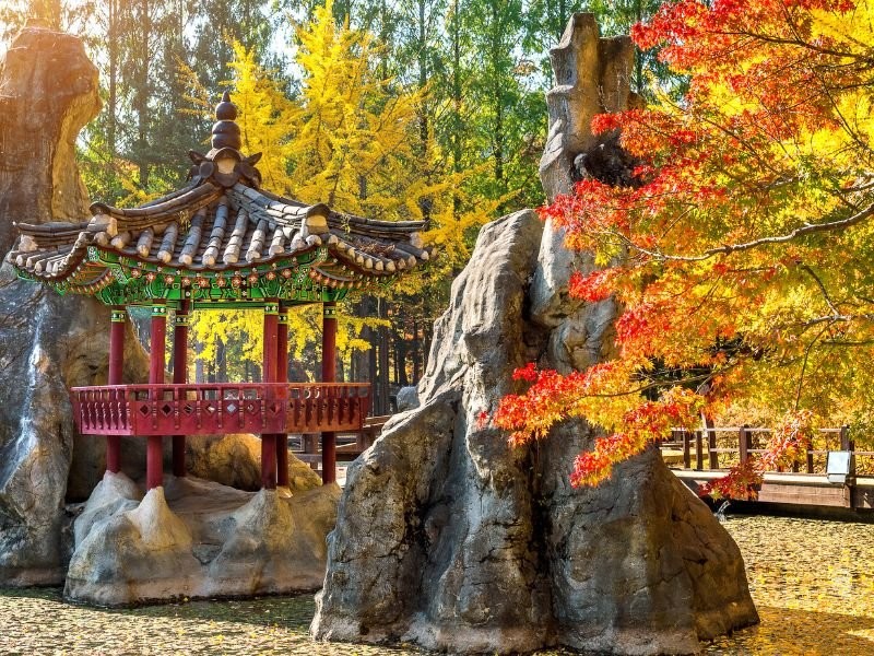 Nami Island's winter landscape in Chuncheon, South Korea