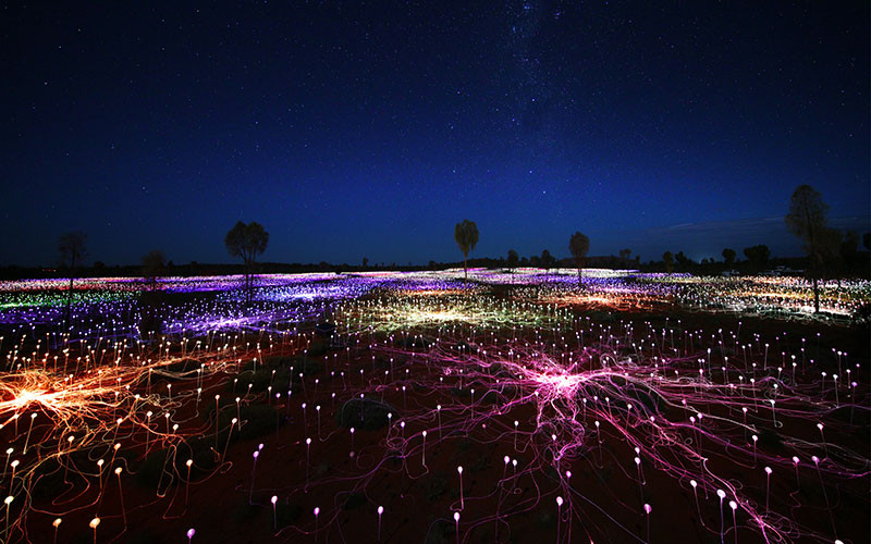 Field of Light art installation at Ayers Rock