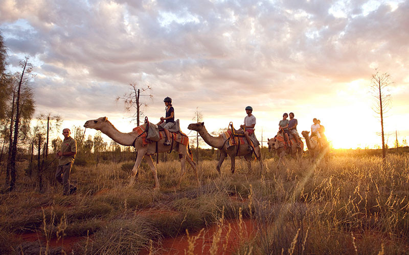 Camel riding tours near Ayers Rock