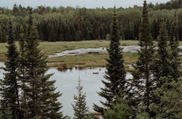 Voyageurs National Park offers interconnected waterways, forests, and islands perfect for exploring