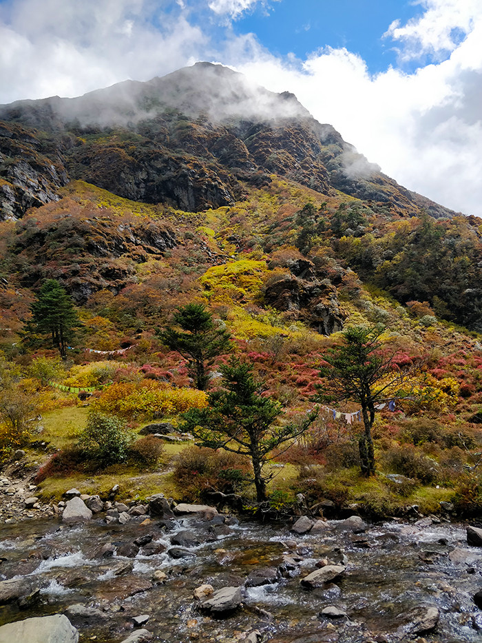Fall colors near Baba Mandir Alt Text: Captivating autumn scenery near Baba Mandir in Sikkim, showcasing a vibrant palette of fall colors adorning the landscape, providing a picturesque and serene backdrop for visitors.