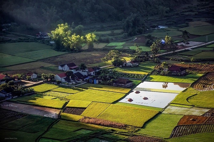 Rice terraces Bac Son Valley