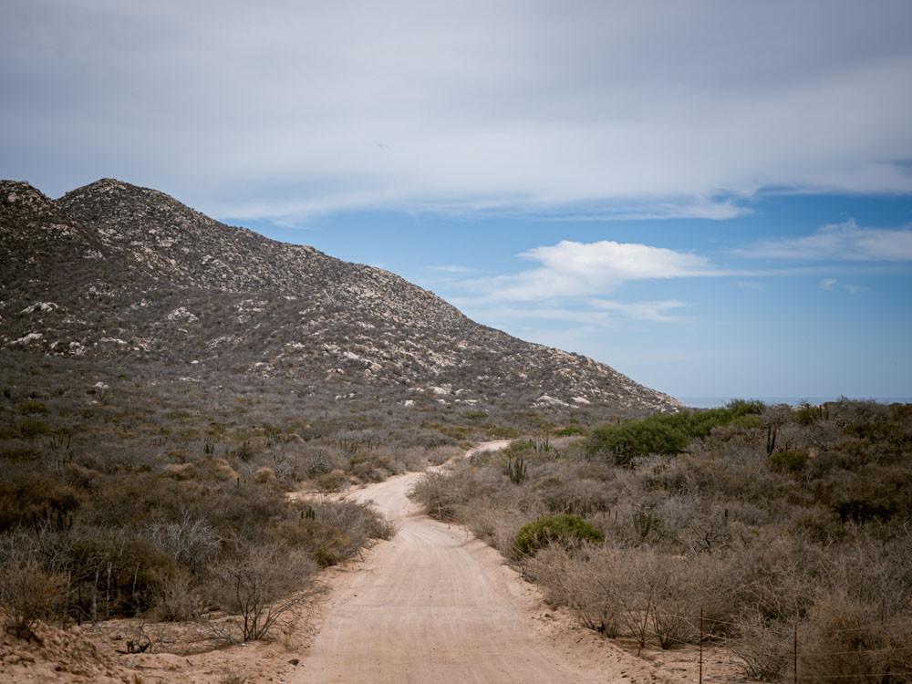 Baja California Road Trip