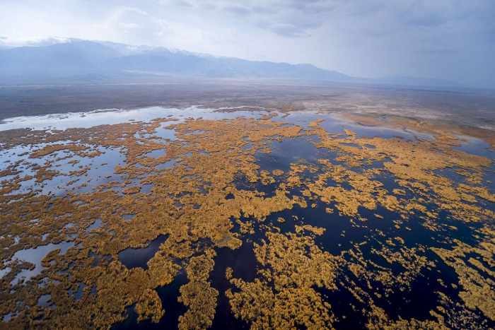 Shrinking lake
