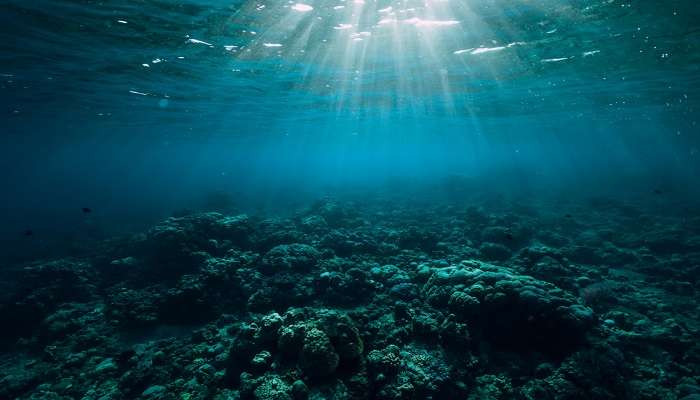 Bangaram Atoll displays its lush greenery and clear blue waters, underscoring its reputation as a paradise for nature lovers in Lakshadweep.