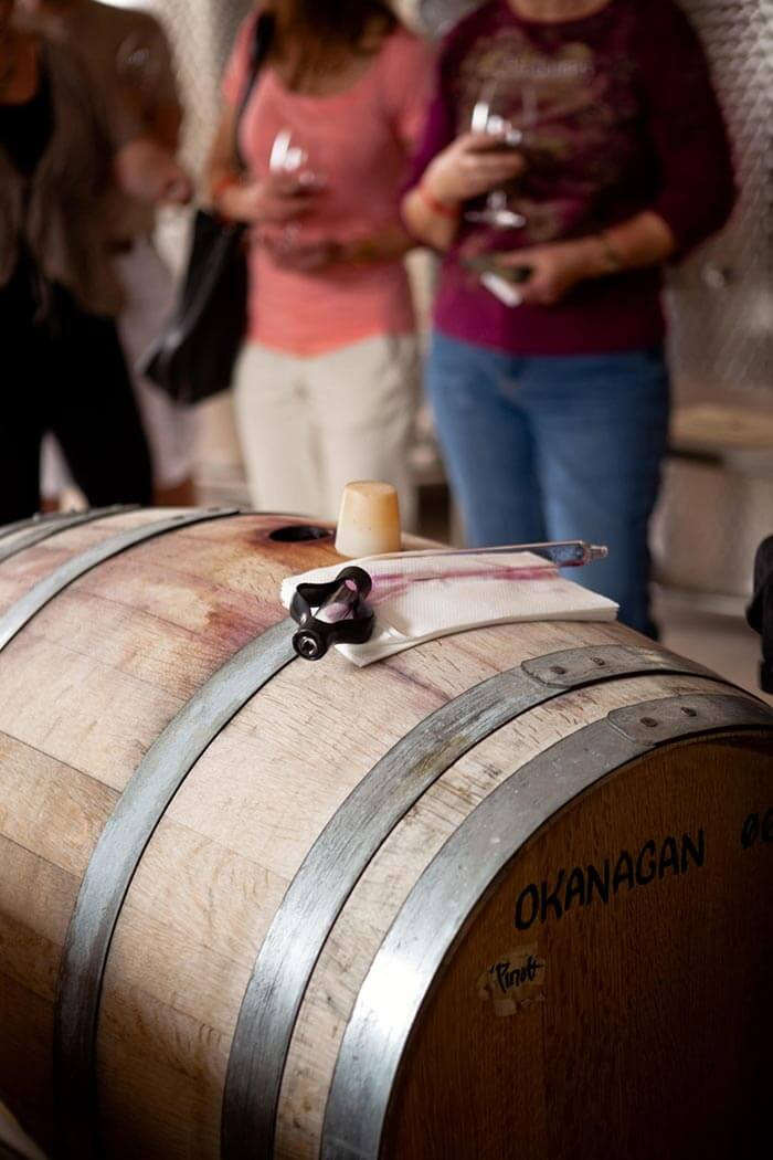 Wine tasting experience in Napa Valley, featuring wine glasses and vineyard views
