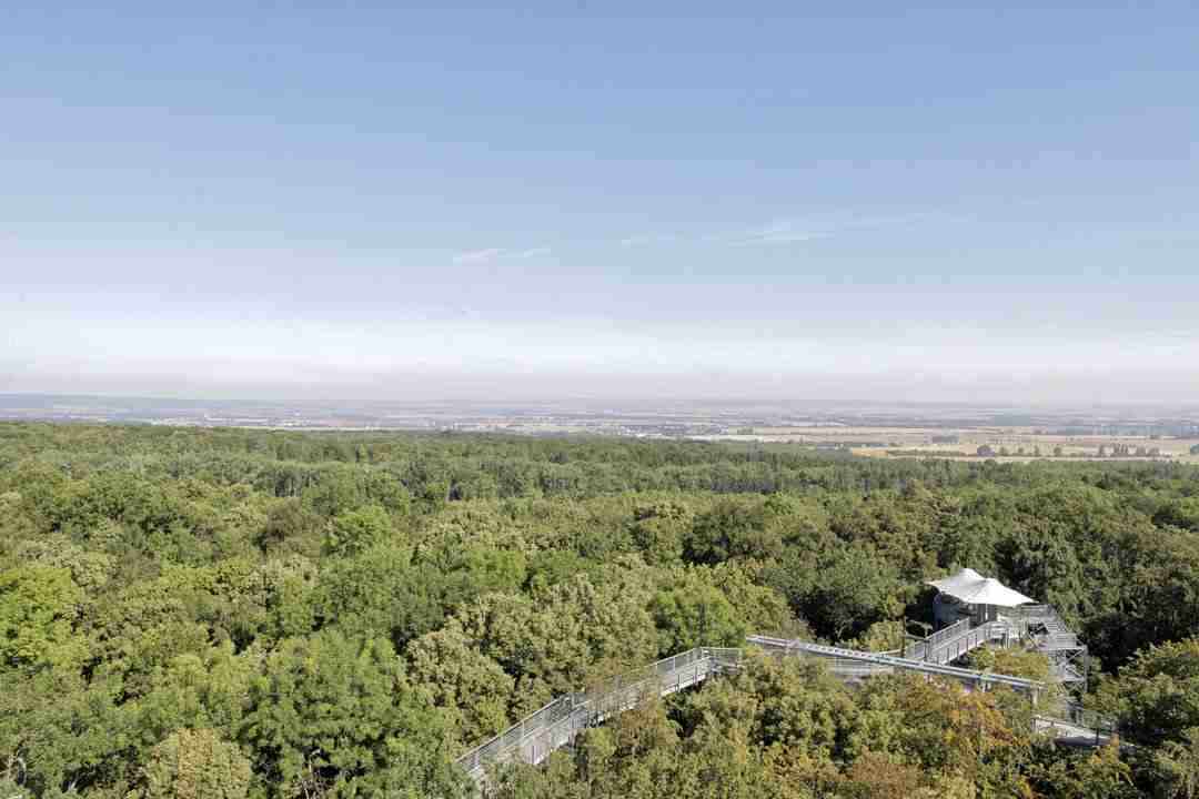 Baumkronenpfad Hainich National Park