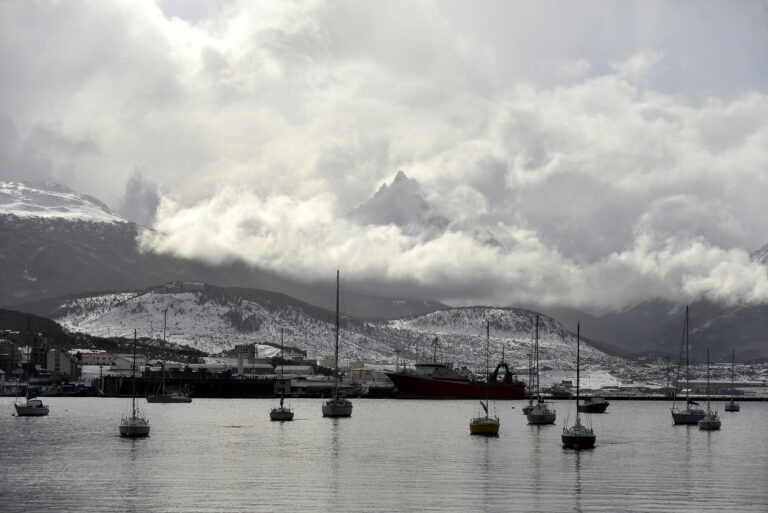 Penguin Watching in Ushuaia