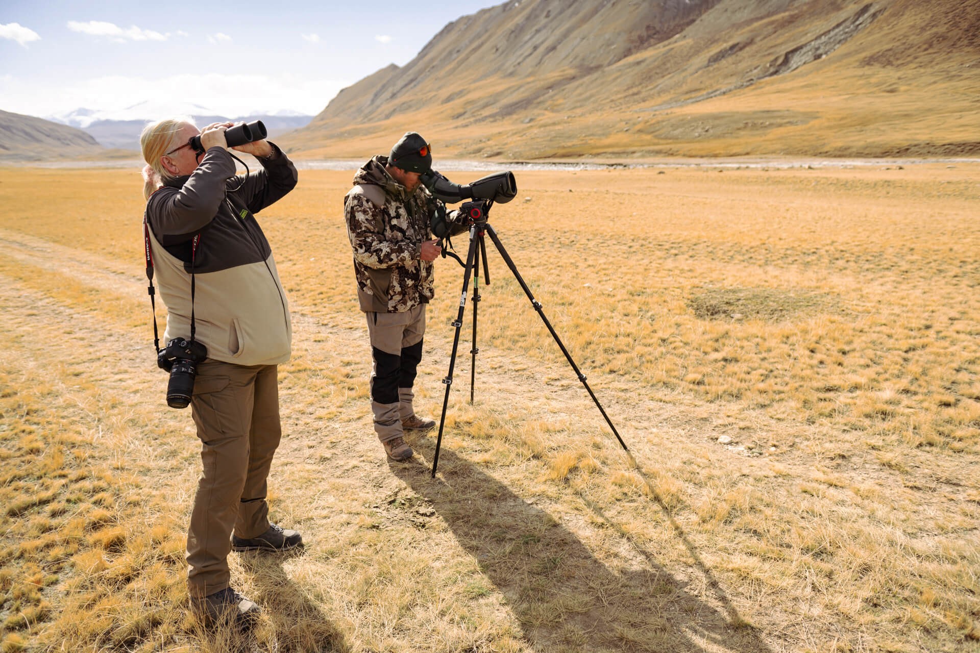 Wildlife observation