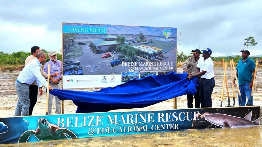 Belize rescue team moving a manatee