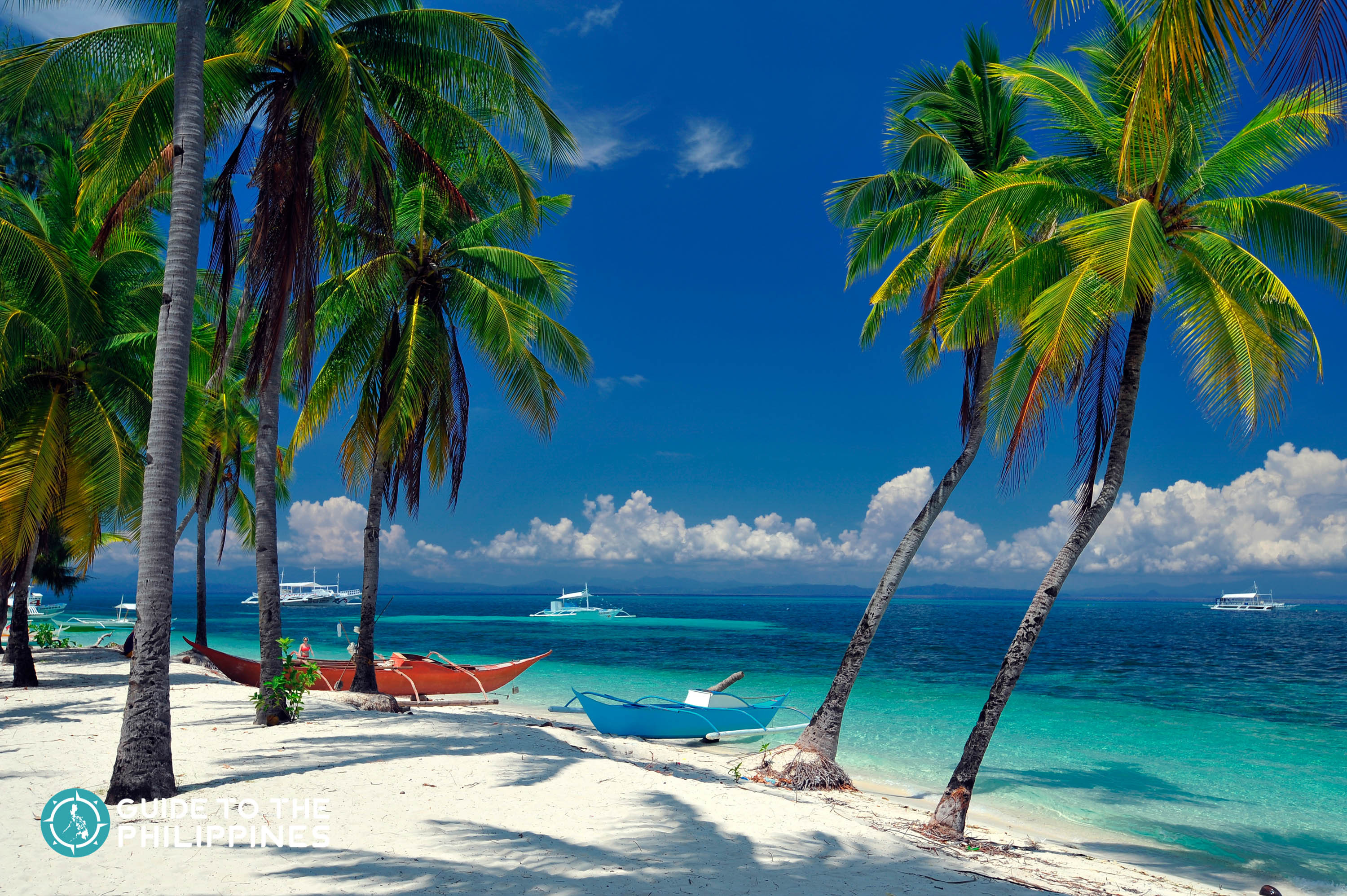 Tropical trees and boats on dock in a beach in Malapascua