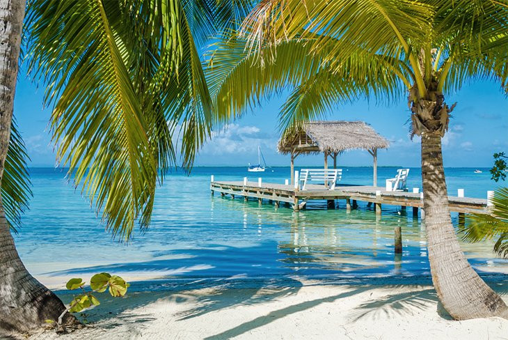 Dock and Palm Trees in Belize