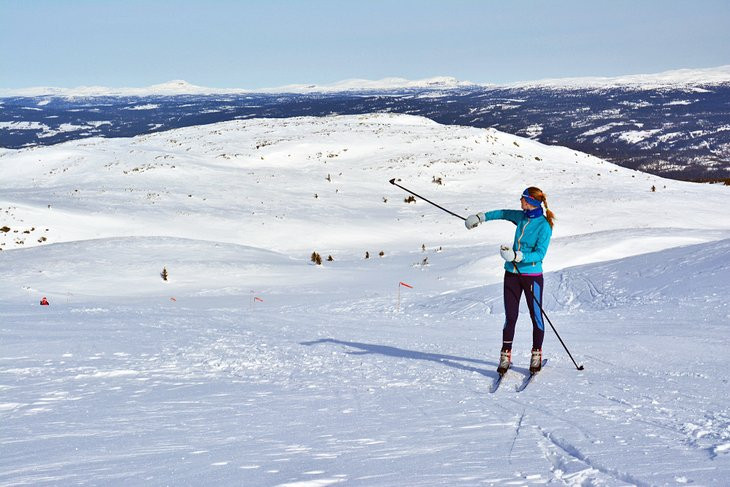 Cross-country skiing near Oslo, showcasing snow-covered landscapes and winter activities