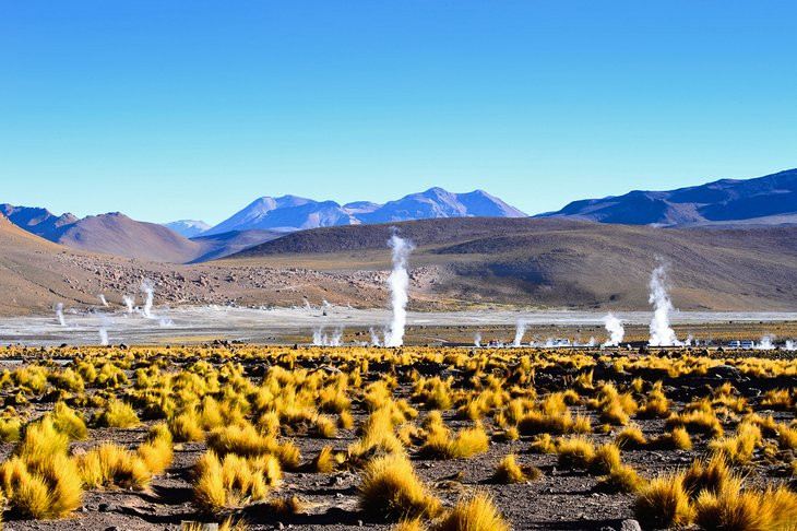 Geysers in the Atacama Desert Chile