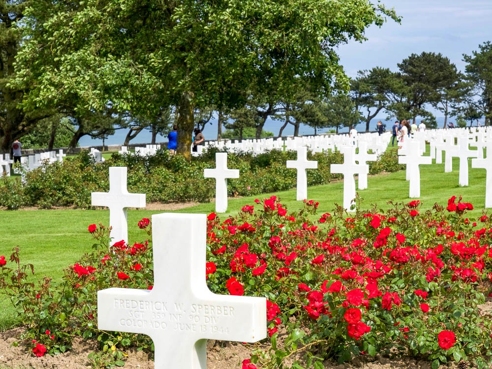white marble crosses in front of red roses on a sunny day