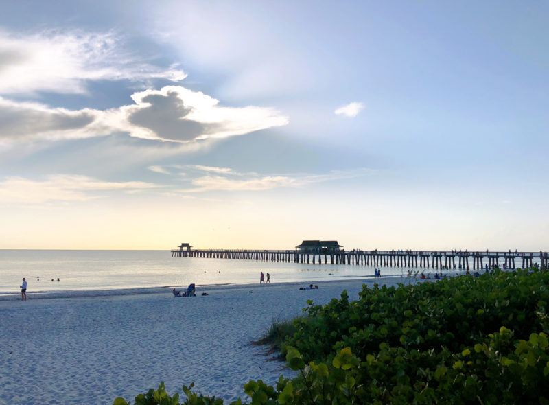 Florida Travel Guide