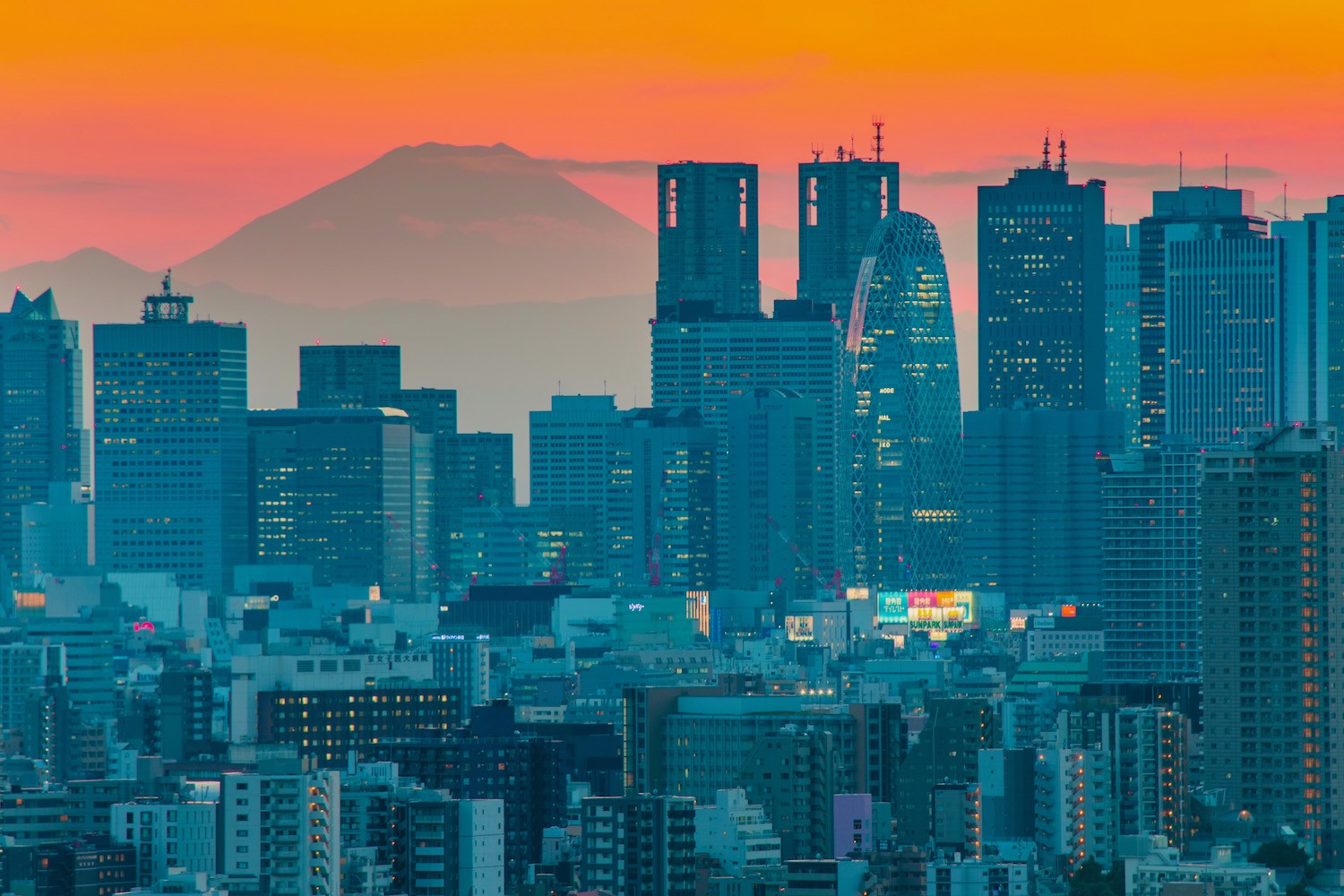 best view of tokyo