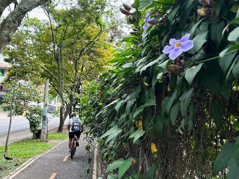 biking in Laureles Medellin