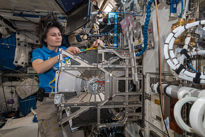 Astronauts train together to build strong teamwork skills.