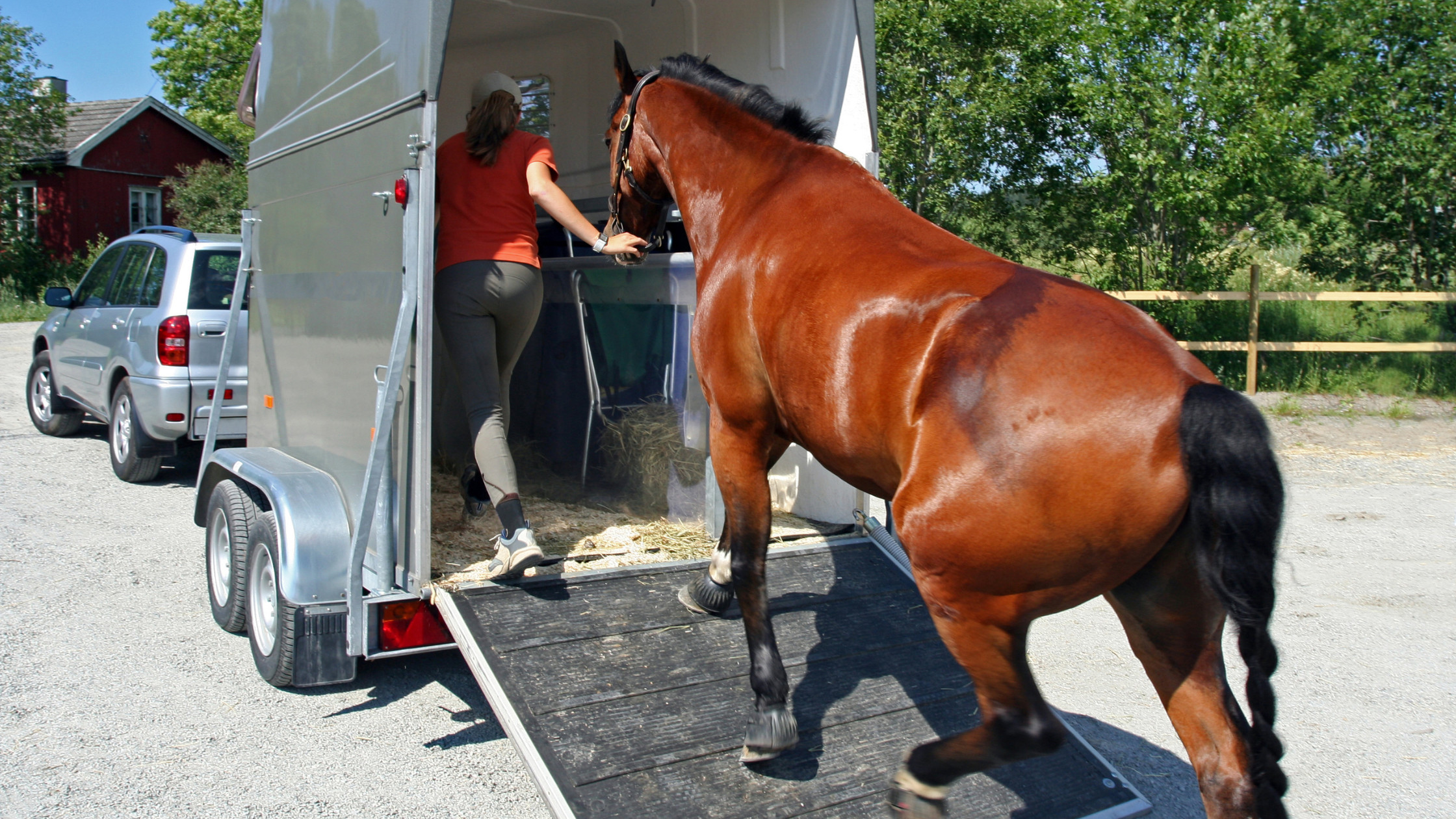 Horse Riding on Flat Terrain