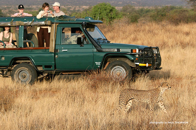 Sustainable Safari Camp