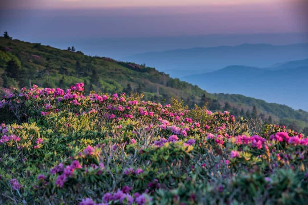 Blue Ridge Parkway Mountain View