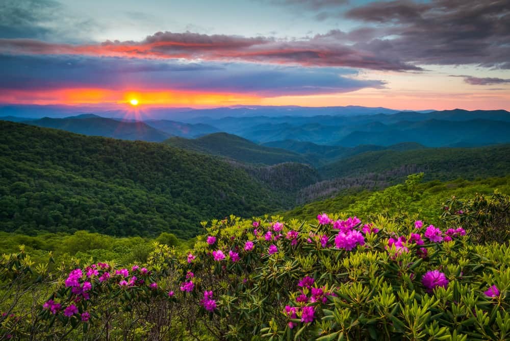 Blue Ridge Parkway Scenery