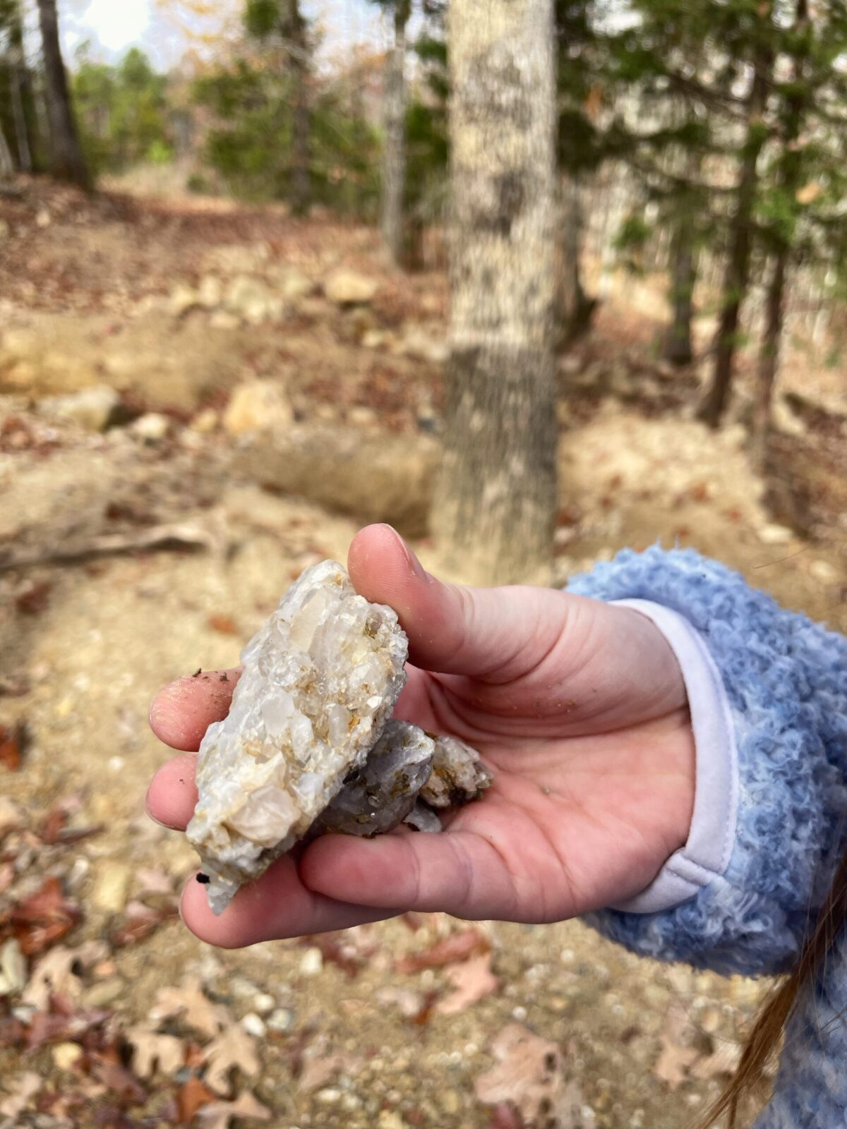 Board Camp Crystal Mine Quartz Cluster