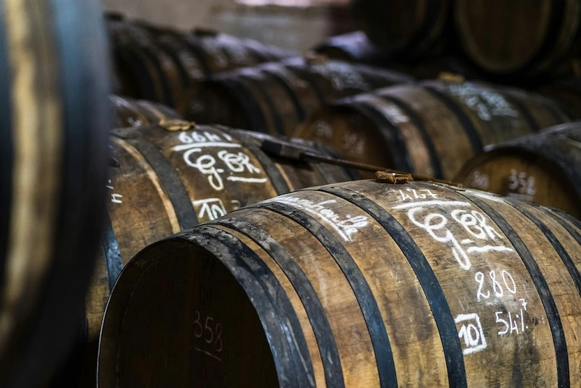 Wine barrels in a vineyard in Bordeaux, France. 