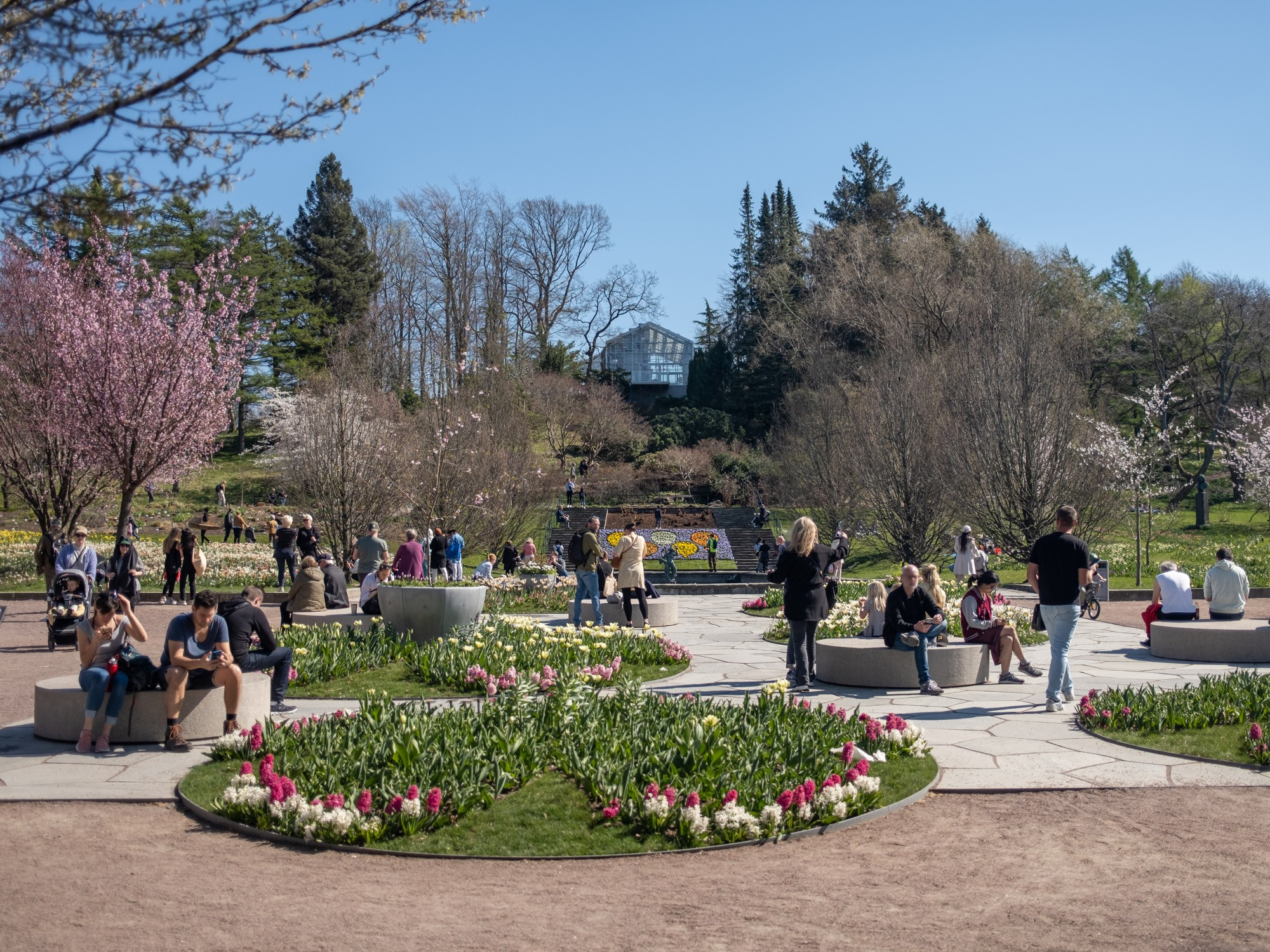 botaniska var 2023peter kvarnstrom2304 1343