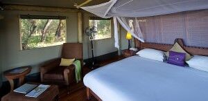 Masai Mara Safari