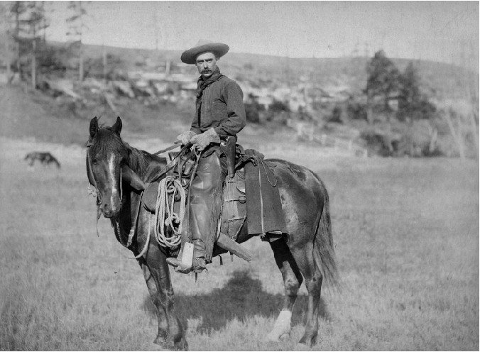 Covered Wagons on the Oregon Trail