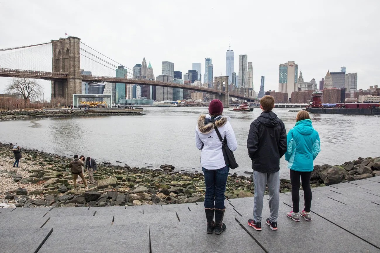 Brooklyn Bridge Park View