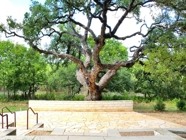 buda texas amphitheater