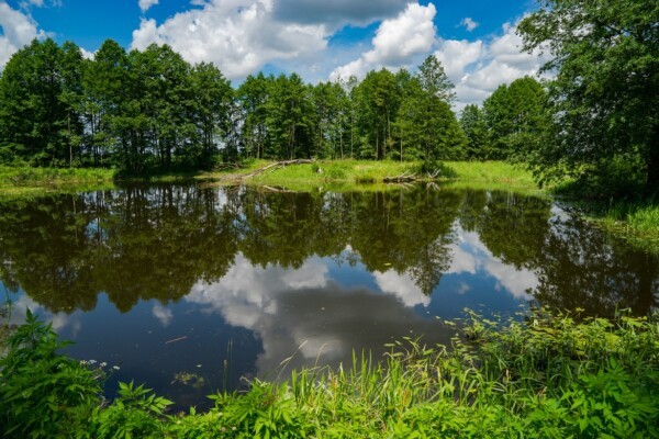 Bug River
