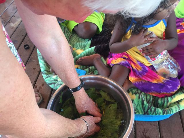 Bush medicine preparation during a Lirrwi cultural tour showcasing traditional practices and connection to the land