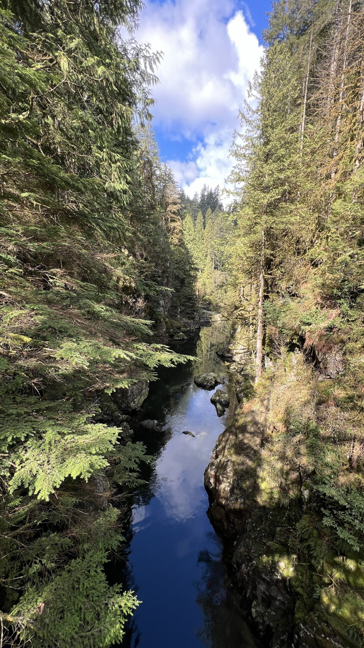 A narrow, rocky river flows through a dense forest of tall evergreen trees under a partly cloudy sky.
